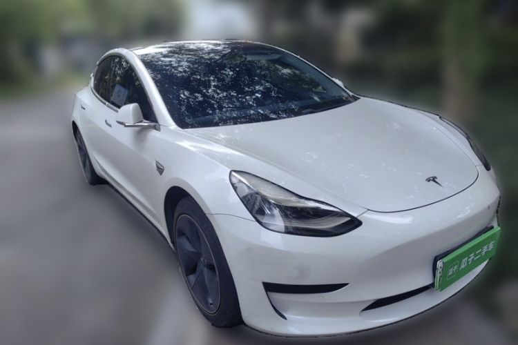 Used Tesla Model 3 2019 Standard Range Rear-Drive Upgraded Version Exterior 2