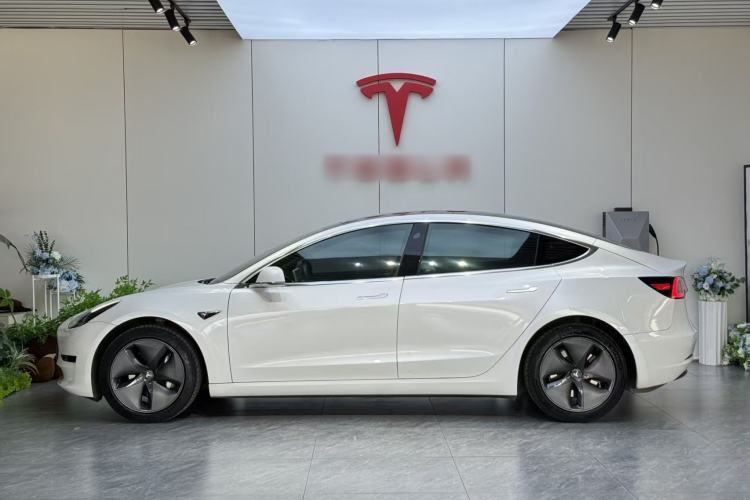 Used Tesla Model 3 2019 Standard Range Rear-Wheel Drive Upgraded Version (60 kWh) Exterior 2
