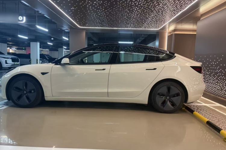 Used Tesla Model 3 2019 Long-Range All-Wheel-Drive Version Exterior 2