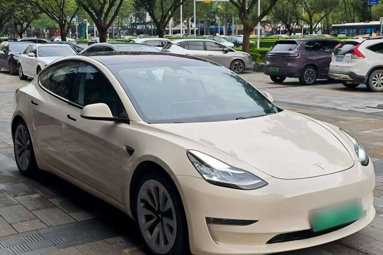 Used Tesla Model 3 2019 Long-Range Rear-Wheel-Drive Version Exterior 2