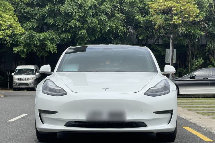 Used Tesla Model 3 2019 Long-Range Rear-Wheel-Drive Version Exterior 2