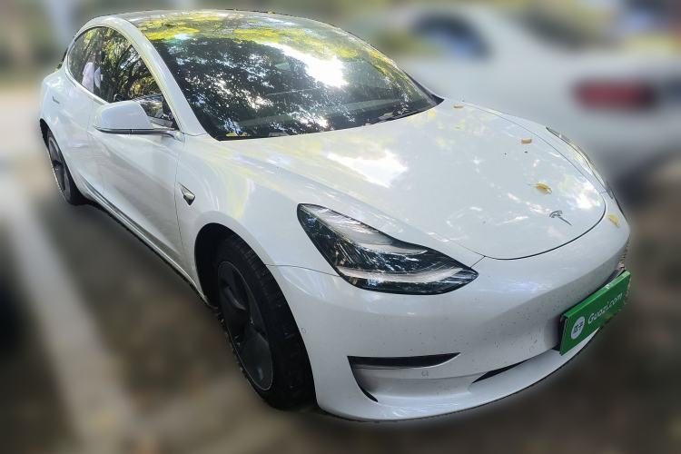 Used Tesla Model 3 2019 Long-Range Rear-Wheel-Drive Version Exterior 2