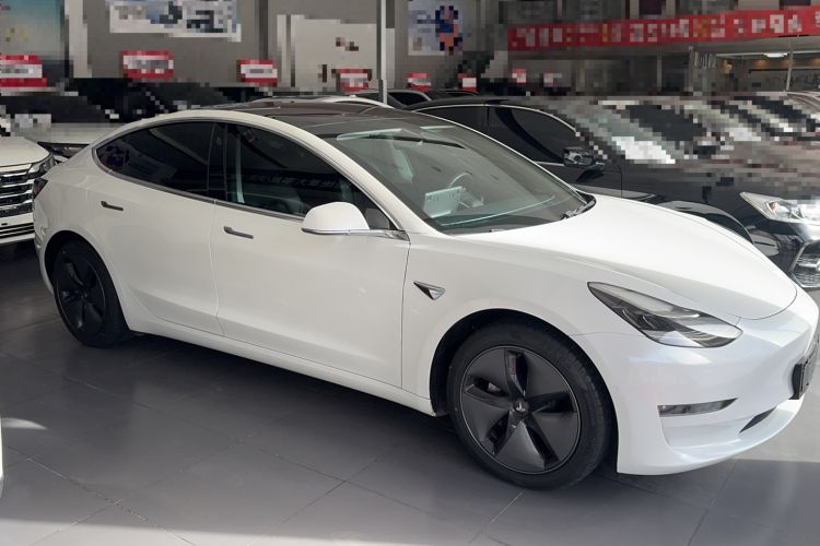 Used Tesla Model 3 2019 Long-Range All-Wheel-Drive Version Exterior 2