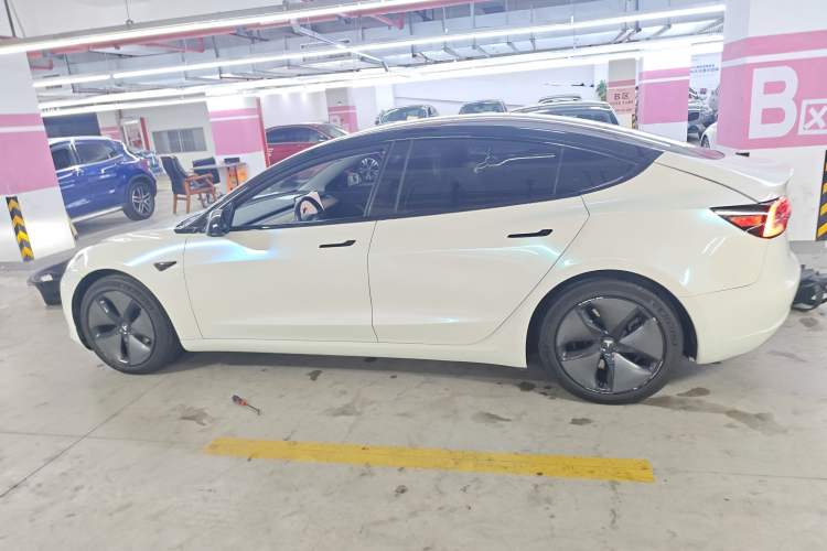 Used Tesla Model 3 2019 Long-Range Rear-Wheel-Drive Version Exterior 3