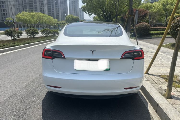 Used Tesla Model 3 2019 Standard Range Rear-Wheel Drive Upgraded Version (60 kWh) Exterior 3