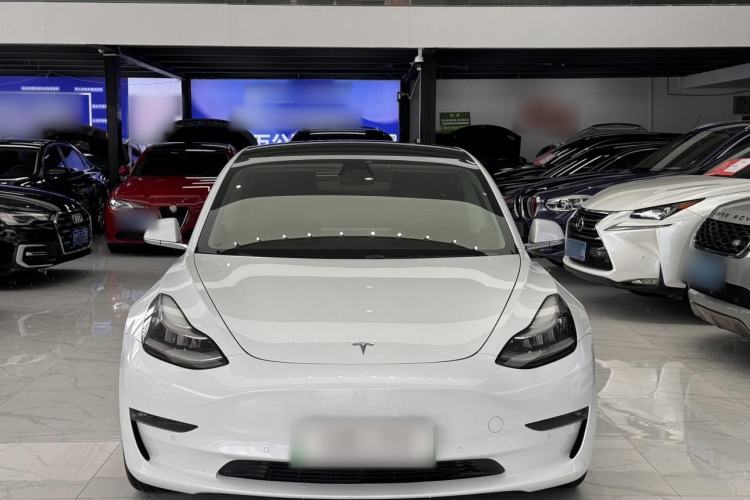 Used Tesla Model 3 2019 Long-Range Rear-Wheel-Drive Version Exterior 3