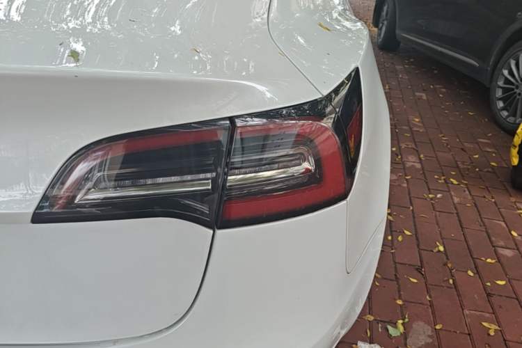 Used Tesla Model 3 2019 Long-Range Rear-Wheel-Drive Version Exterior 3