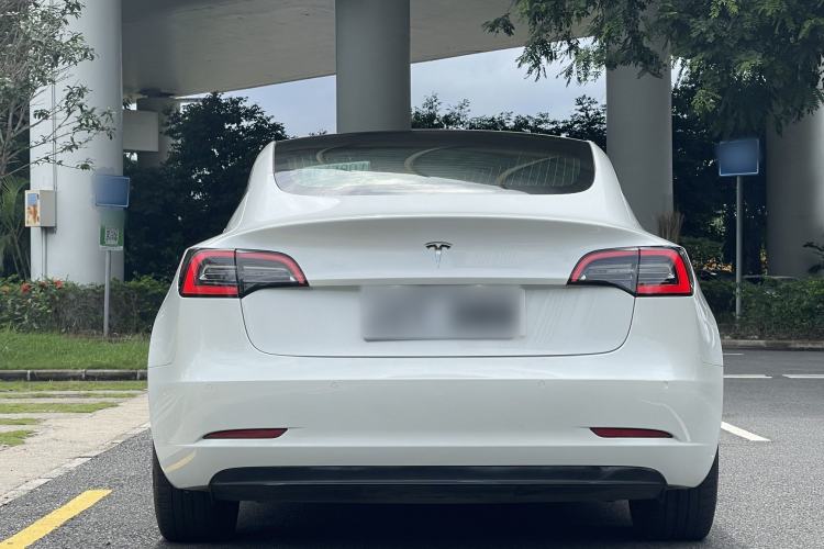 Used Tesla Model 3 2019 Long-Range Rear-Wheel-Drive Version Exterior 3