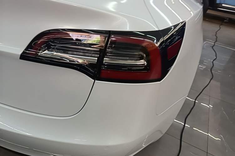 Used Tesla Model 3 2019 Standard Range Rear-Wheel Drive Upgraded Version (52 kWh) Exterior 3