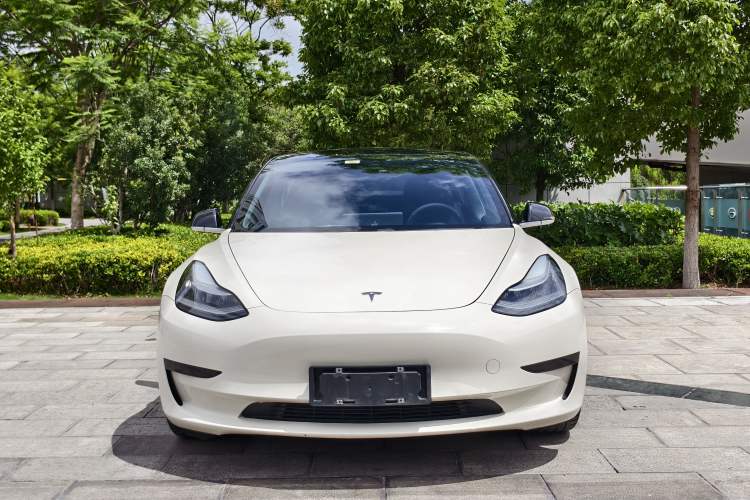 Used Tesla Model 3 2019 Standard Range Rear-Drive Upgraded Version Exterior 3
