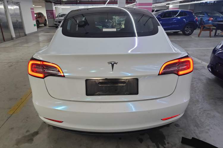 Used Tesla Model 3 2019 Long-Range Rear-Wheel-Drive Version Exterior 4