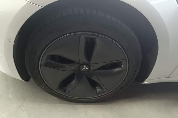 Used Tesla Model 3 2019 Standard Range Rear-Wheel Drive Upgraded Version (52 kWh) Exterior 4