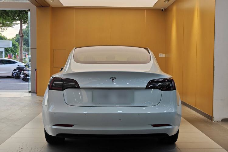 Used Tesla Model 3 2019 Long-Range Rear-Wheel-Drive Version Exterior 4