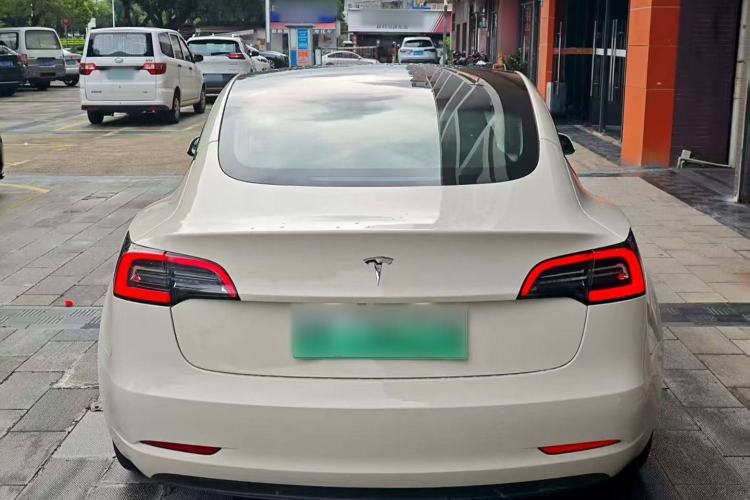 Used Tesla Model 3 2019 Long-Range Rear-Wheel-Drive Version Exterior 4