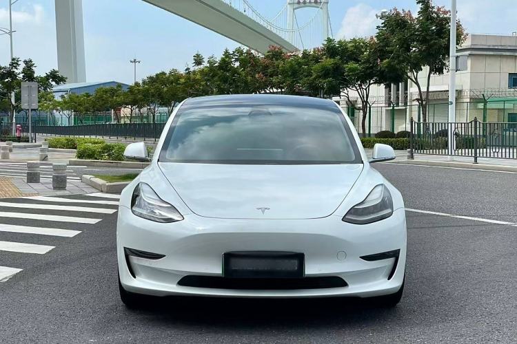 Used Tesla Model 3 2019 Long-Range All-Wheel-Drive Version Exterior 4