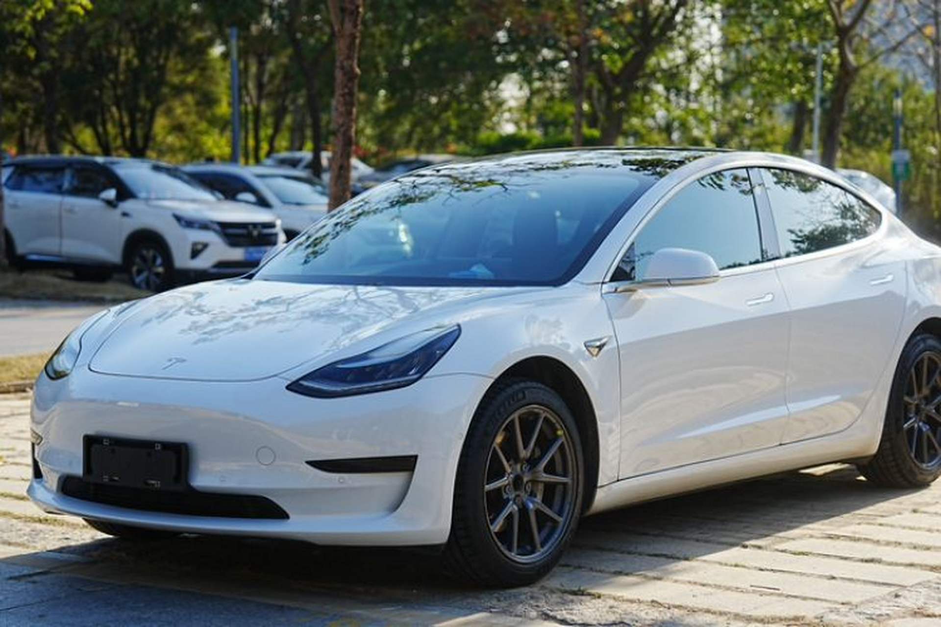 Used Tesla Model 3 2019 Standard Range Rear-Drive Upgraded Version Exterior 4