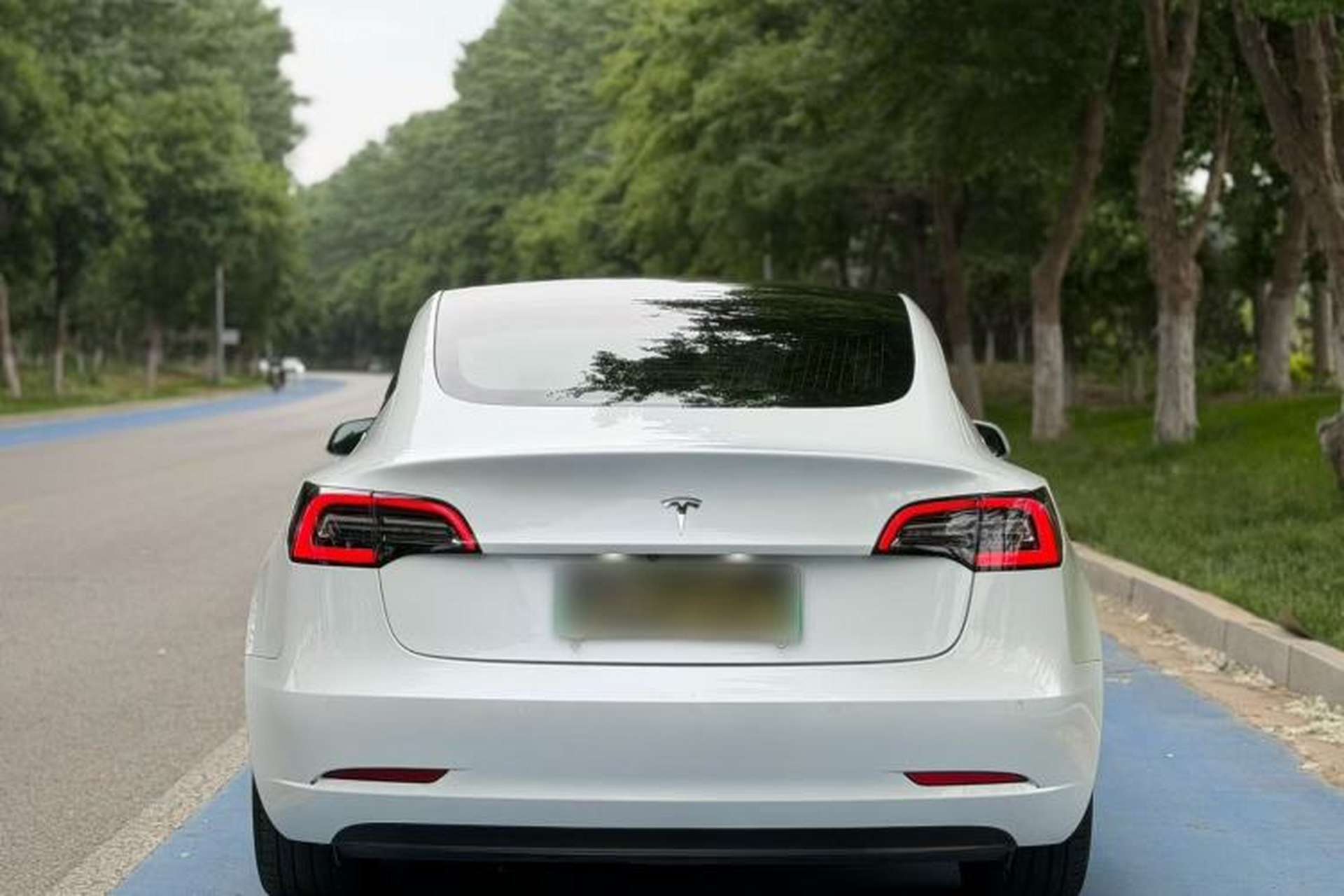 Used Tesla Model 3 2019 Standard Range Rear-Wheel Drive Upgraded Version (52 kWh) Exterior 5