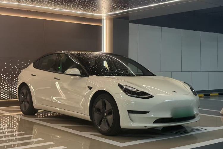 Used Tesla Model 3 2019 Long-Range All-Wheel-Drive Version Exterior 5