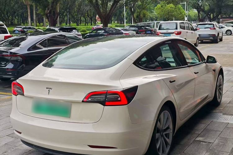 Used Tesla Model 3 2019 Long-Range Rear-Wheel-Drive Version Exterior 5