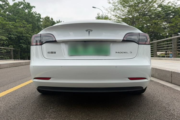 Used Tesla Model 3 2019 Standard Range Rear-Drive Upgraded Version Exterior 5