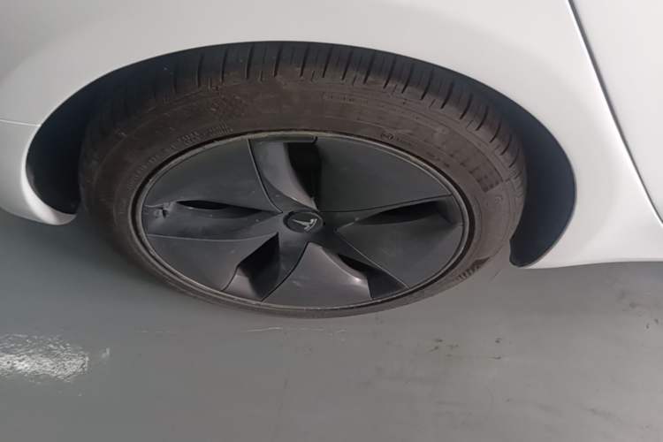 Used Tesla Model 3 2019 Long-Range Rear-Wheel-Drive Version Exterior 5
