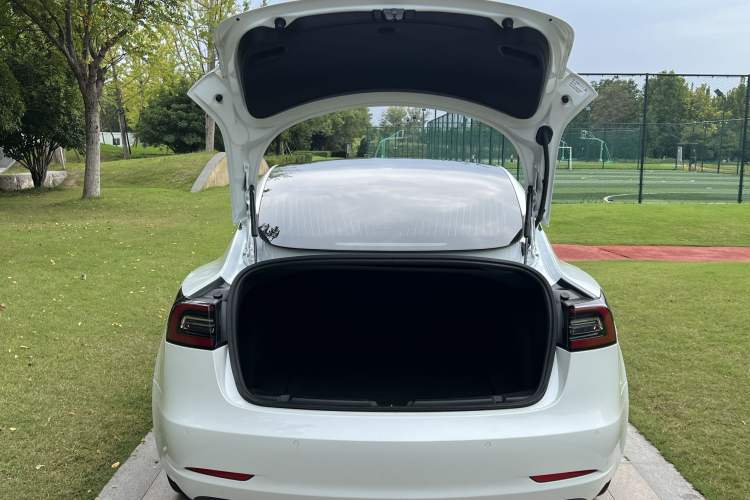 Used Tesla Model 3 2019 Standard Range Rear-Wheel Drive Upgraded Version (52 kWh) Exterior 6