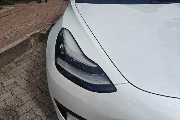Used Tesla Model 3 2019 Standard Range Rear-Drive Upgraded Version Exterior 6