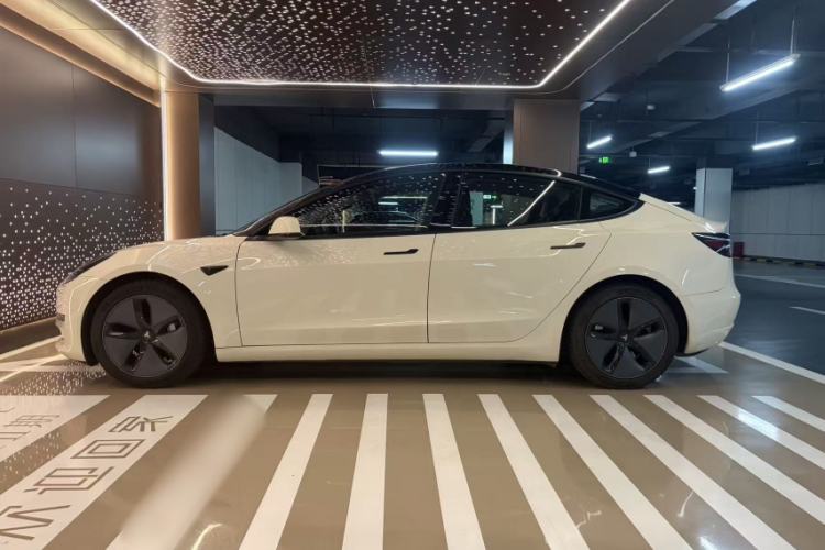 Used Tesla Model 3 2019 Long-Range All-Wheel-Drive Version Exterior 6