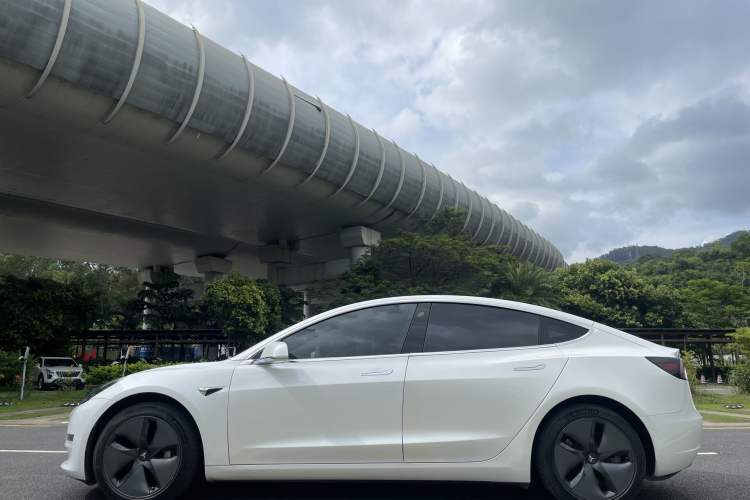 Used Tesla Model 3 2019 Long-Range Rear-Wheel-Drive Version Exterior 6