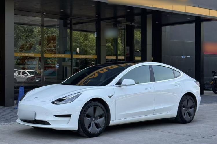 Used Tesla Model 3 2019 Long-Range Rear-Wheel-Drive Version Exterior 6