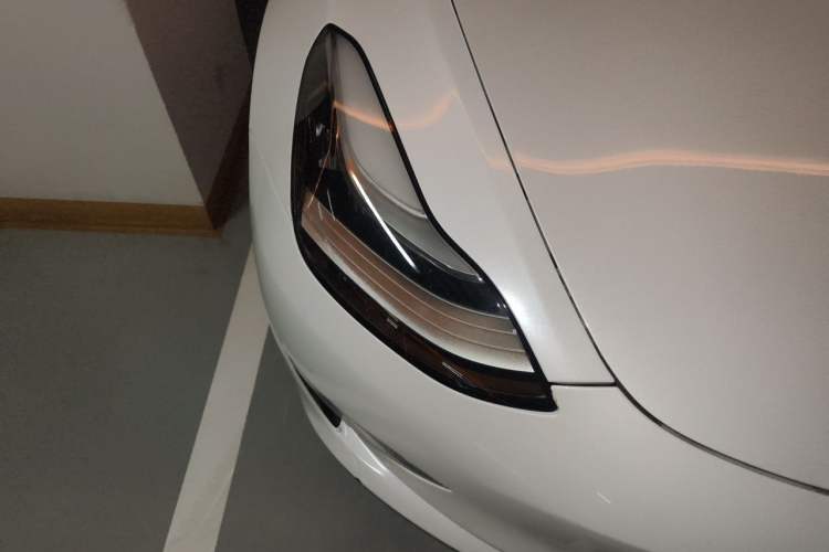 Used Tesla Model 3 2019 Long-Range All-Wheel-Drive Version Exterior 6