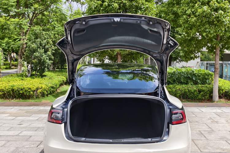 Used Tesla Model 3 2019 Standard Range Rear-Drive Upgraded Version Exterior 6