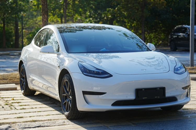 Used Tesla Model 3 2019 Standard Range Rear-Drive Upgraded Version Exterior 6