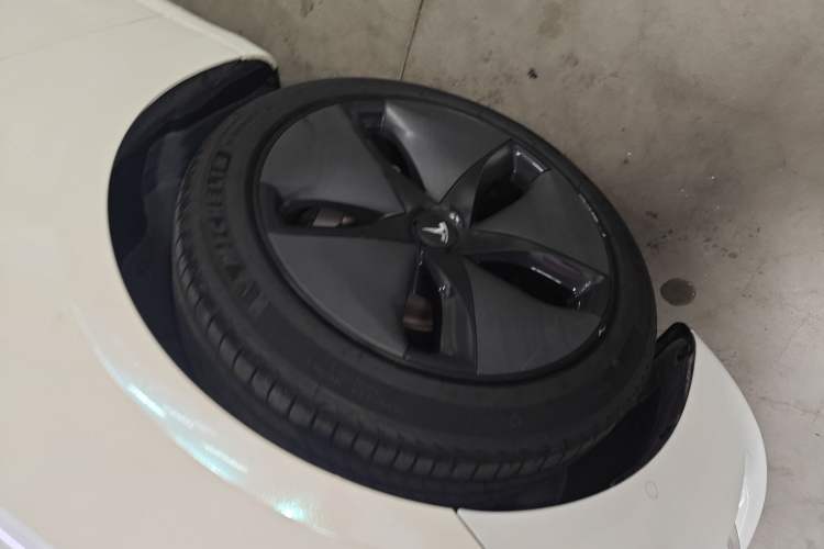 Used Tesla Model 3 2019 Long-Range Rear-Wheel-Drive Version Exterior 7