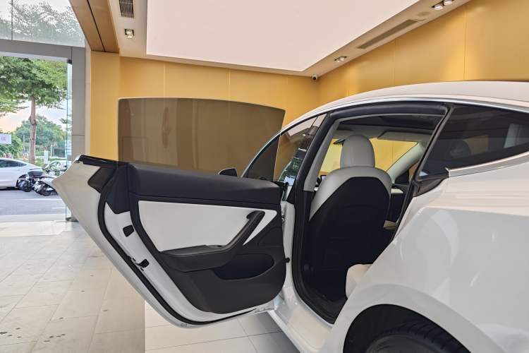 Used Tesla Model 3 2019 Long-Range Rear-Wheel-Drive Version Exterior 7