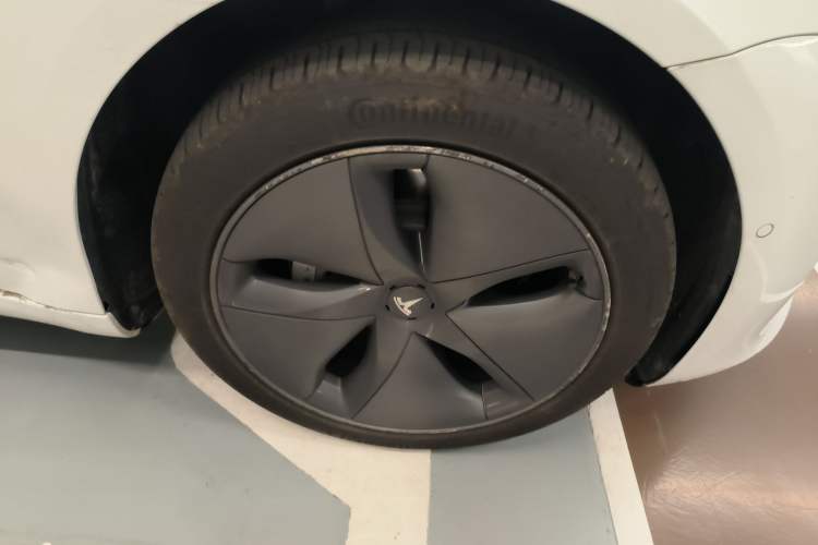 Used Tesla Model 3 2019 Long-Range All-Wheel-Drive Version Exterior 7