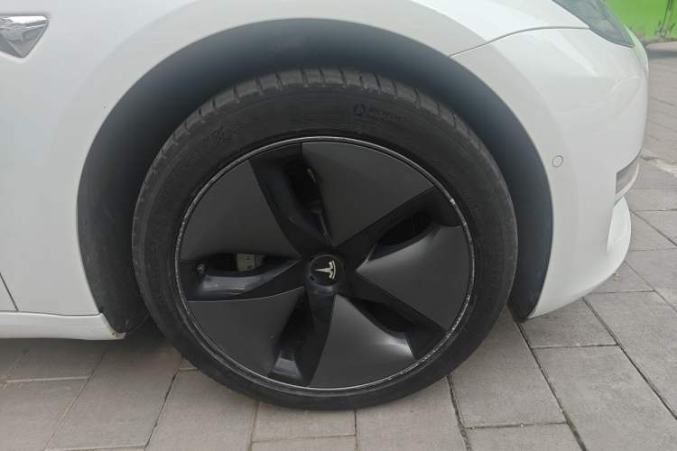 Used Tesla Model 3 2019 Long-Range Rear-Wheel-Drive Version Exterior 7
