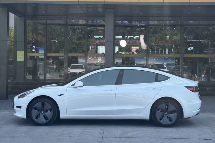 Used Tesla Model 3 2019 Long-Range Rear-Wheel-Drive Version Exterior 7
