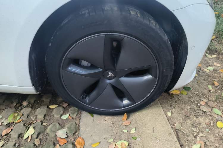 Used Tesla Model 3 2019 Long-Range Rear-Wheel-Drive Version Exterior 7