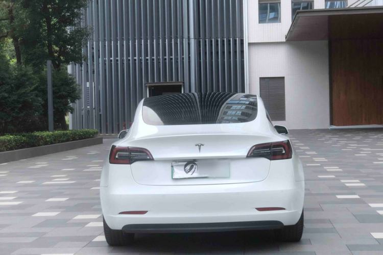 Used Tesla Model 3 2019 Long-Range Rear-Wheel-Drive Version Exterior 7