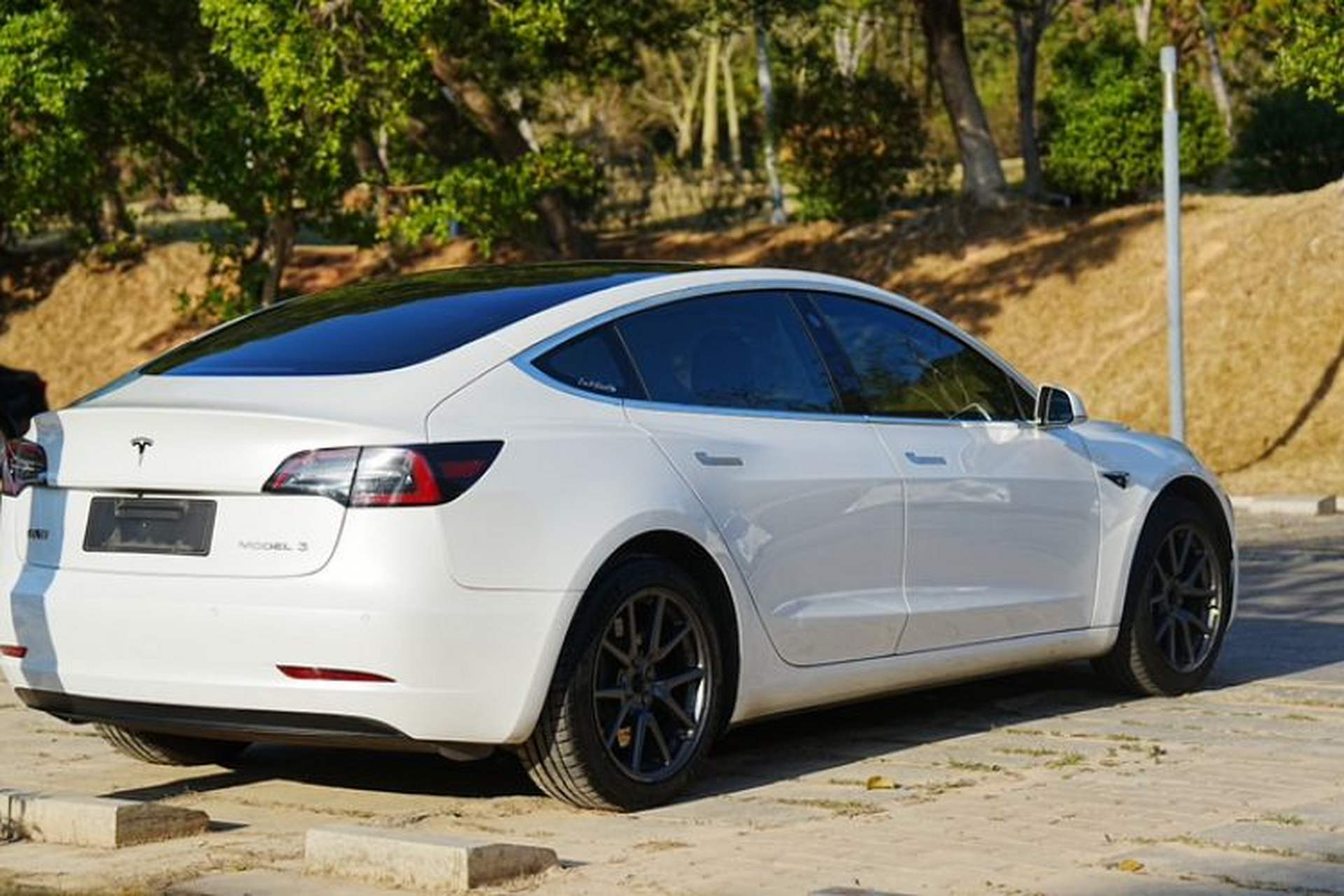 Used Tesla Model 3 2019 Standard Range Rear-Drive Upgraded Version Exterior 7