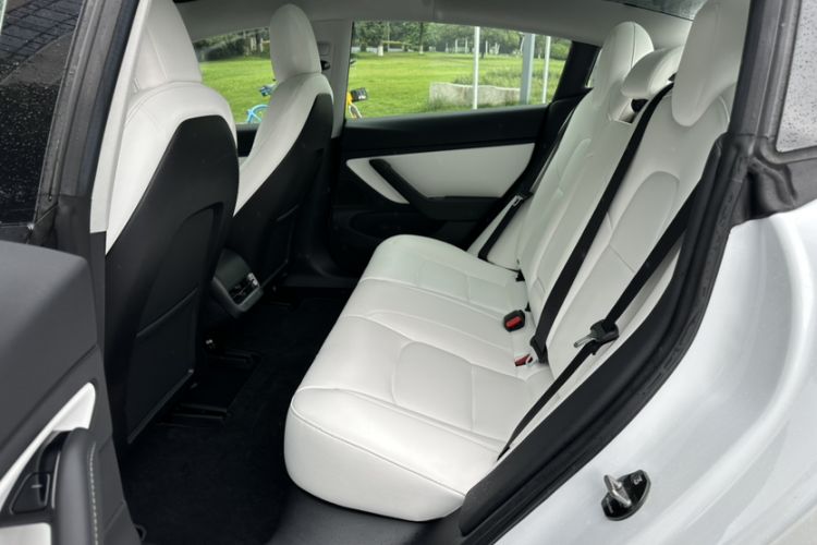Used Tesla Model 3 2019 Long-Range Rear-Wheel-Drive Version Exterior 8