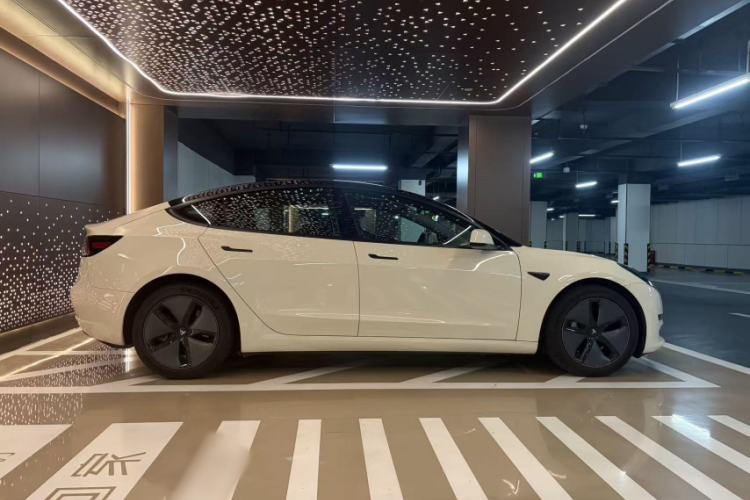 Used Tesla Model 3 2019 Long-Range All-Wheel-Drive Version Exterior 8