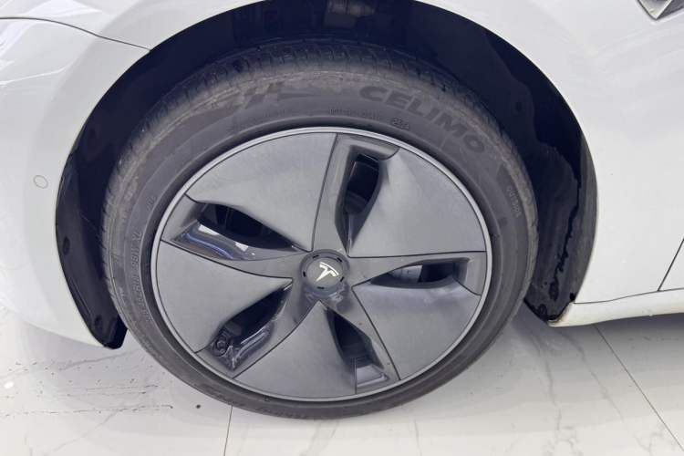 Used Tesla Model 3 2019 Long-Range Rear-Wheel-Drive Version Exterior 8