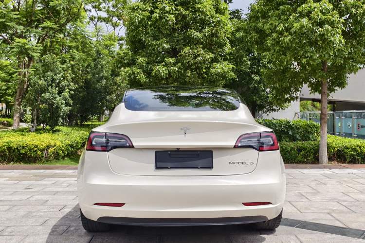 Used Tesla Model 3 2019 Standard Range Rear-Drive Upgraded Version Exterior 8