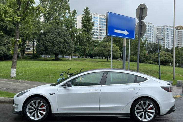 Used Tesla Model 3 2019 Long-Range Rear-Wheel-Drive Version Exterior 9