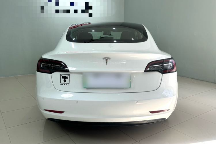 Used Tesla Model 3 2019 Standard Range Rear-Wheel Drive Upgraded Version (60 kWh) Exterior 9