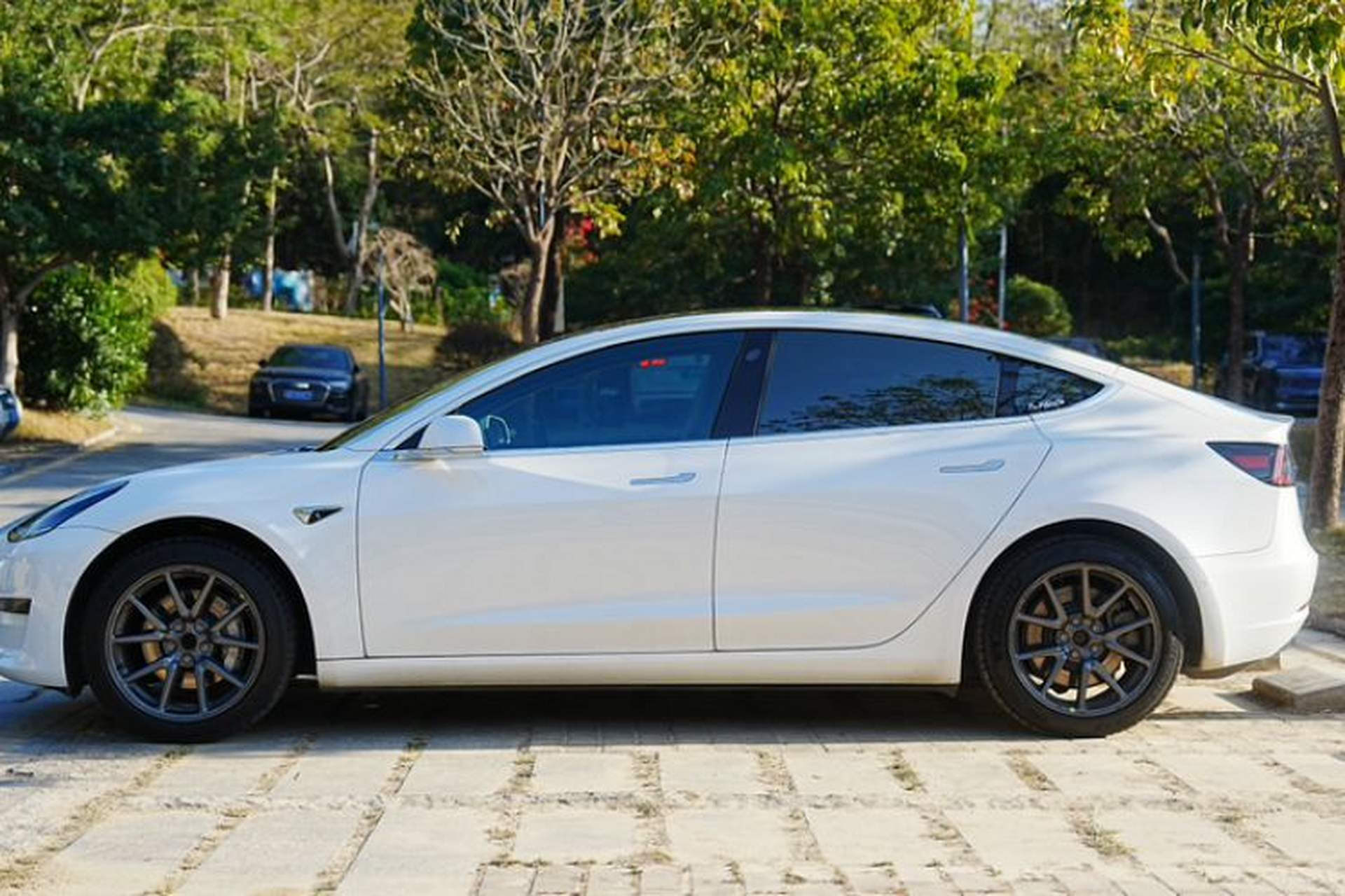 Used Tesla Model 3 2019 Standard Range Rear-Drive Upgraded Version Exterior 9
