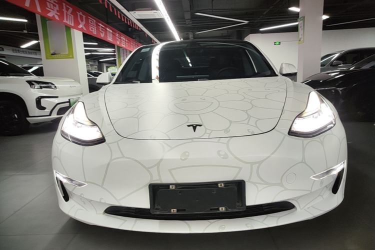 Used Tesla Model 3 2019 Long-Range All-Wheel-Drive Version Front