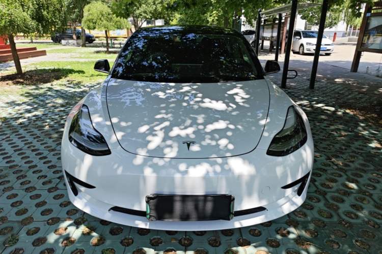 Used Tesla Model 3 2019 Standard Range Rear-Drive Upgraded Version Front
